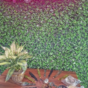سری و جای ذغال